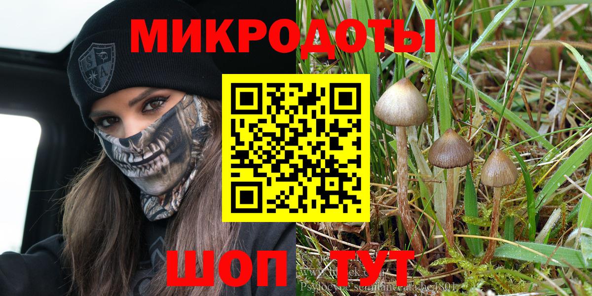 Псилоцибиновые грибы прущие грибы  Вход с VPN  Лиски 